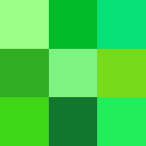 Green-square-green-532521_300_300